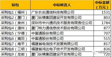 本地守護(hù)者崛起 福建鐵塔8590萬基站代維項目中標(biāo)透視